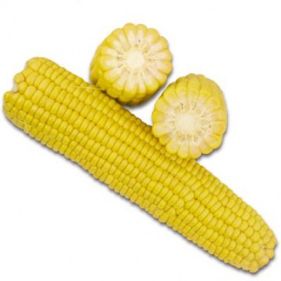Семена кукурузы сахарной (Sh2 тип) 1805 F1 (75-78дней) кочан 26 см (2500 сем.) Lark Seeds